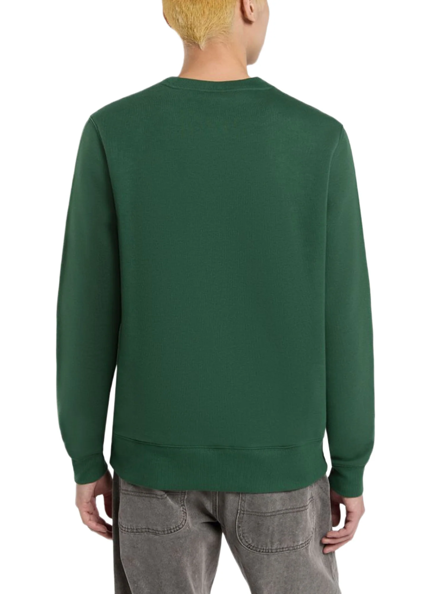 Dickies Felpe Uomo | DK0A4XCE - Image 7