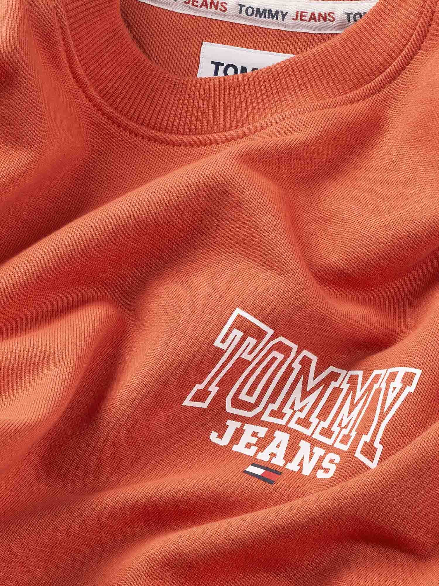 Tommy Jeans Felpe Uomo | DM0DM17157 - Image 9