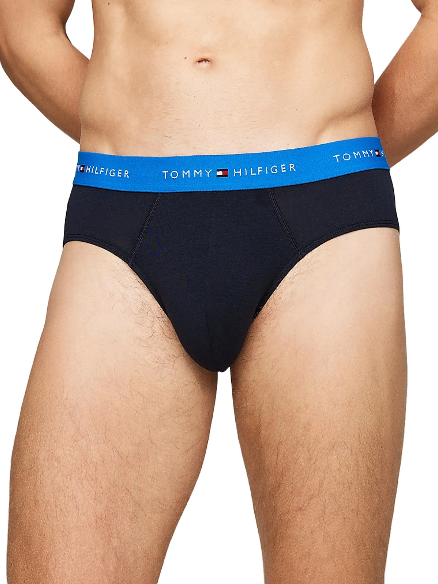 Tommy Hilfiger Slip Uomo | UM0UM02904 - Image 4