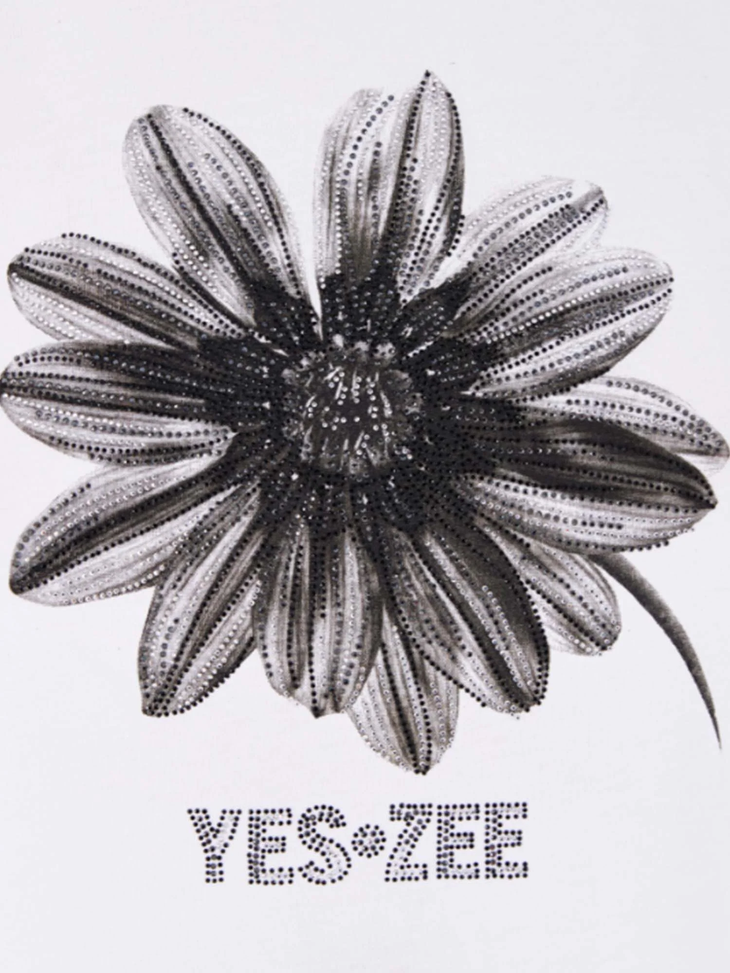 Yes-zee T-shirt Donna | T239 JX00 - Image 4