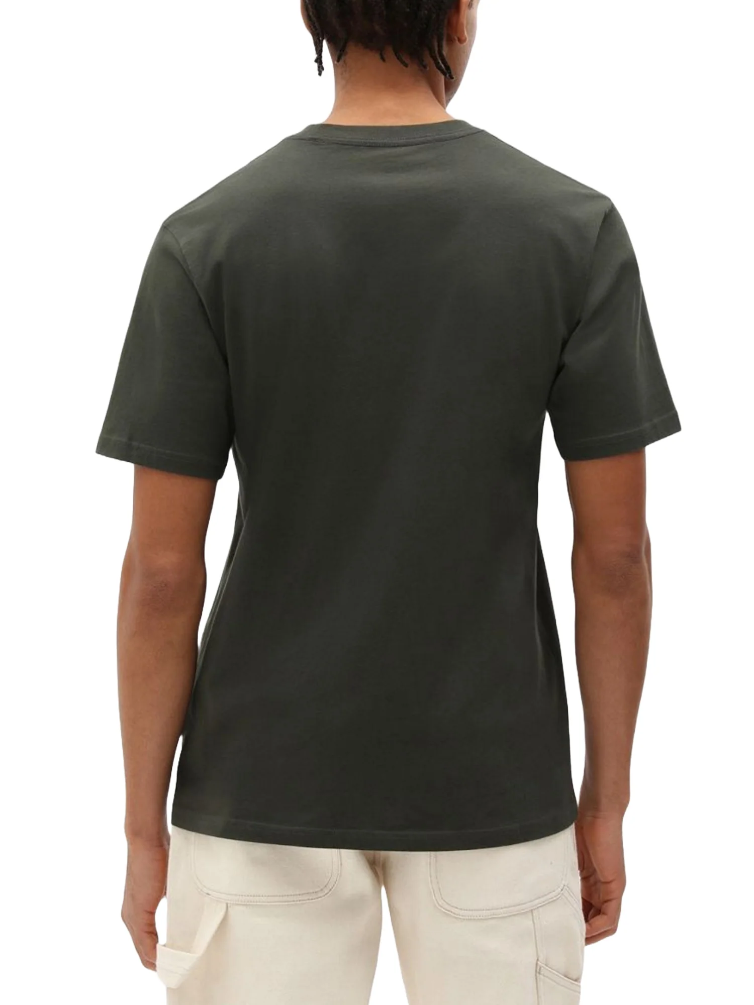 Dickies T-shirt Uomo | DK0A4XDBOGX1 - Image 3
