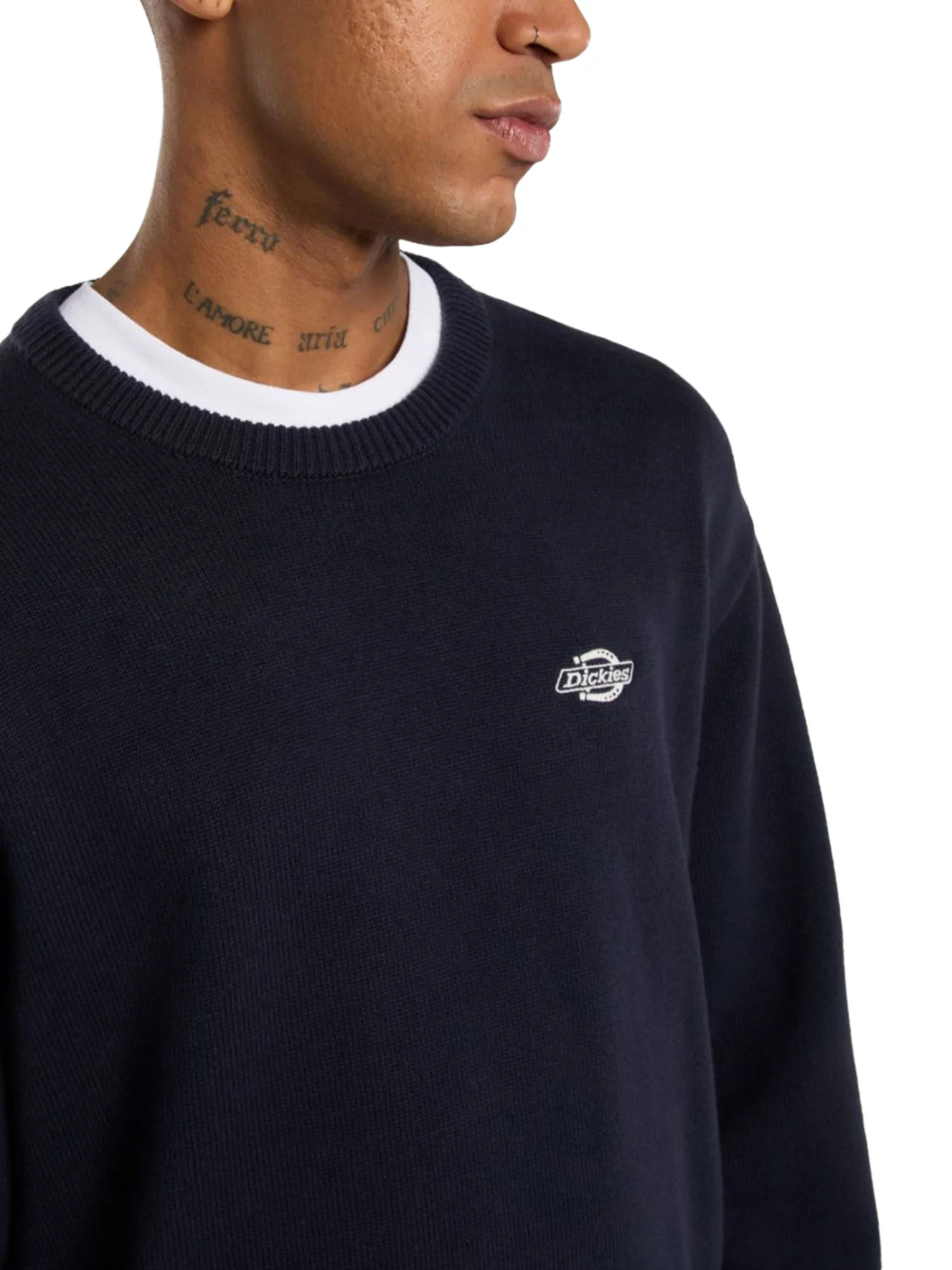 Dickies Maglioncini Uomo | DK0A87OP - Image 12