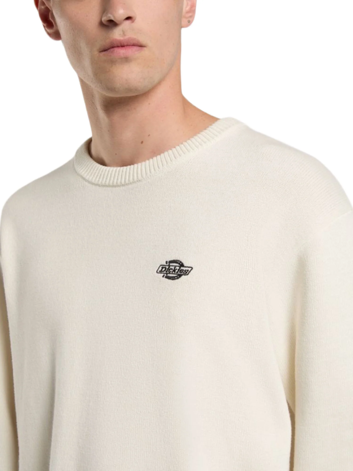 Dickies Maglioncini Uomo | DK0A87OP - Image 4