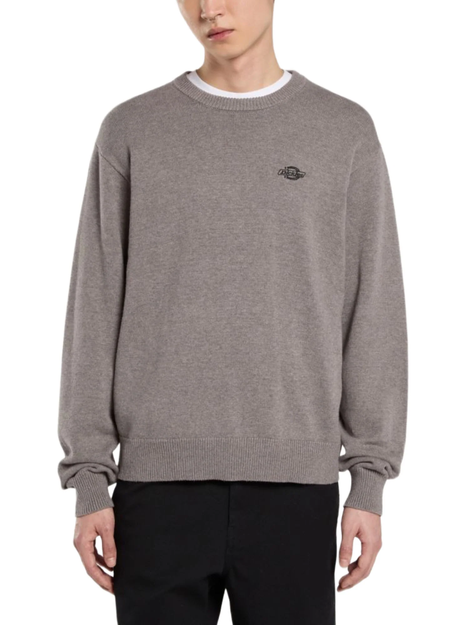 Dickies Maglioncini Uomo | DK0A87OP - Image 6