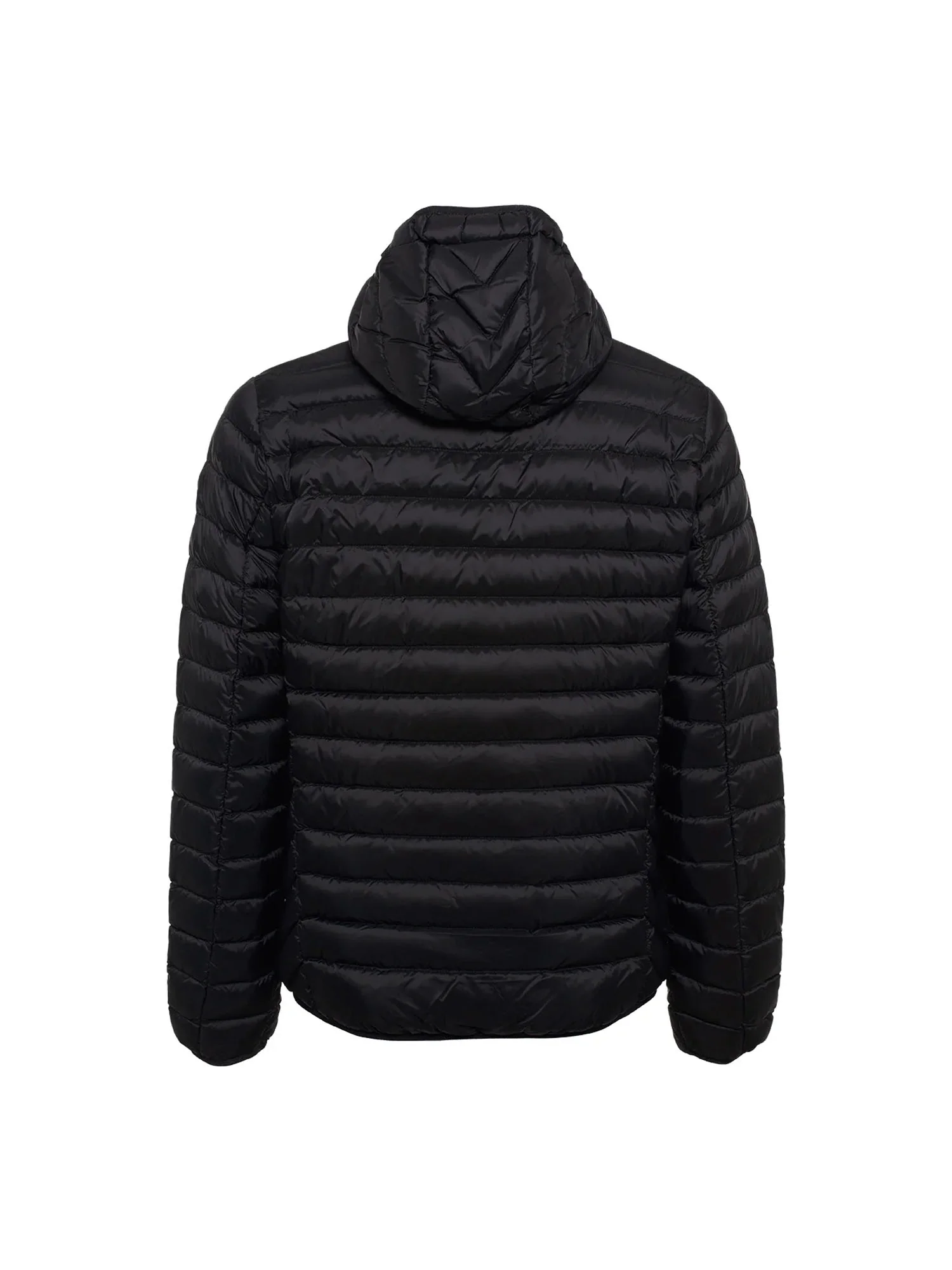 Ciesse Piumini Piumini Uomo | 233CFMJ00062 N0210D - Image 8