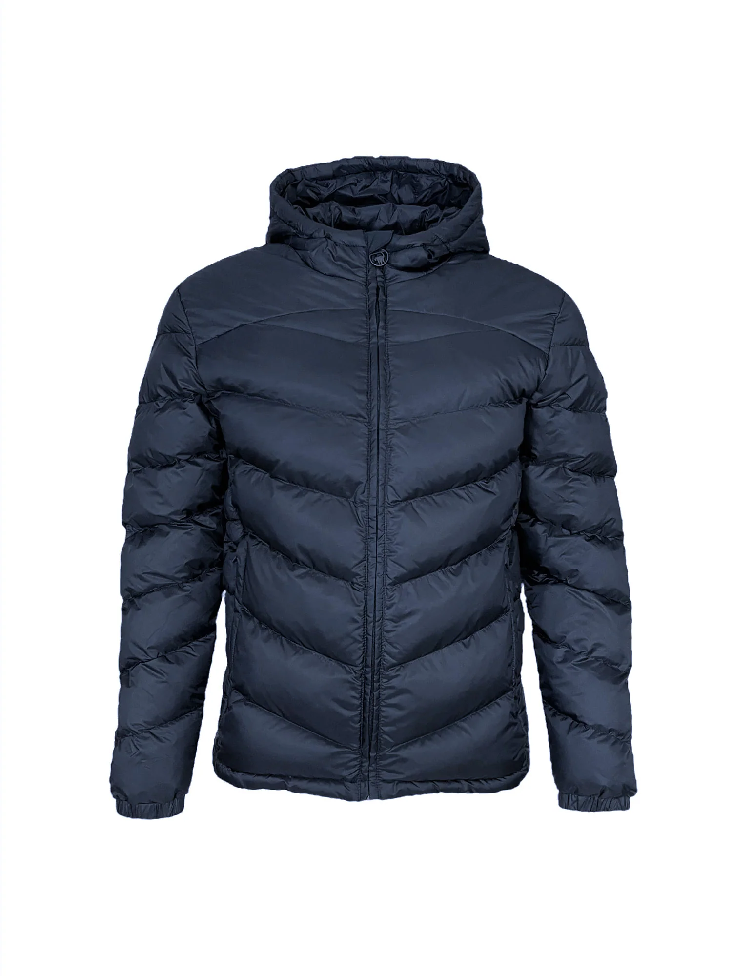 Ciesse Piumini Piumini Uomo | 236CAMJ00230 N0211R - Image 6