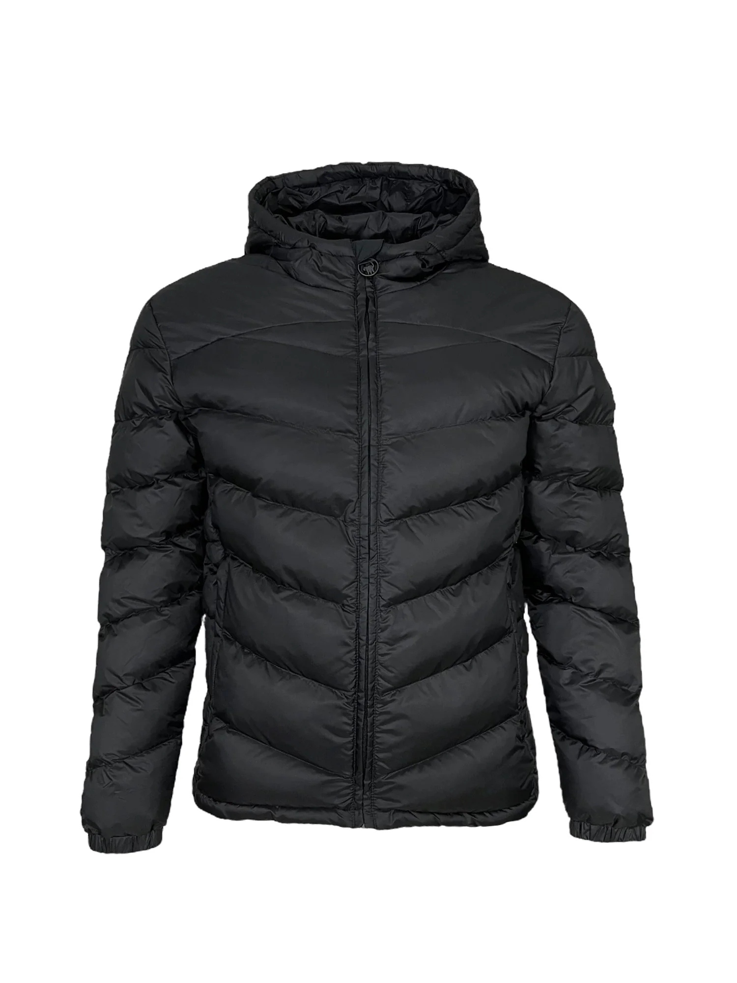 Ciesse Piumini Piumini Uomo | 243CPMJ00230 N0211R