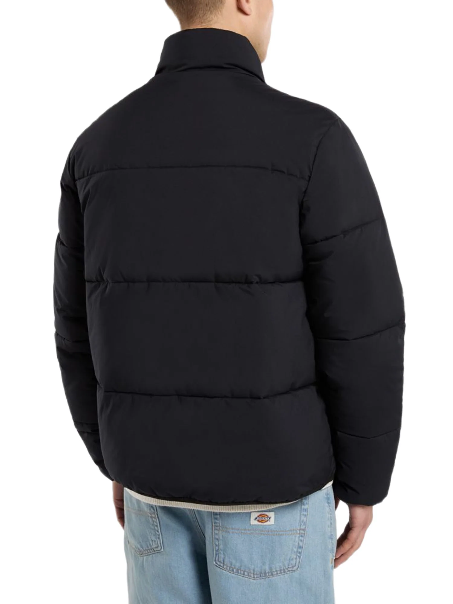 Dickies Piumini Uomo | DK0A87OG - Image 3