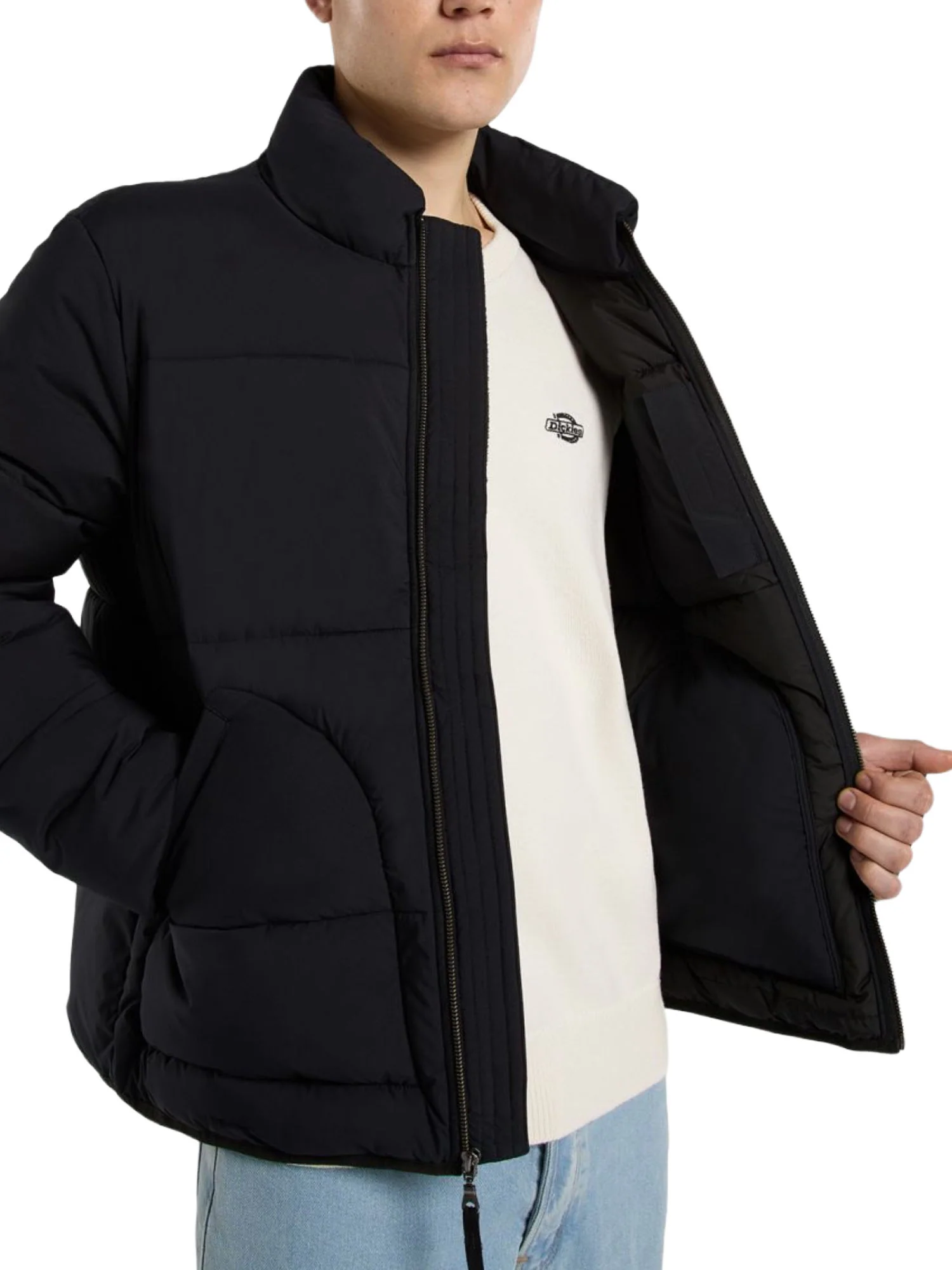 Dickies Piumini Uomo | DK0A87OG - Image 4
