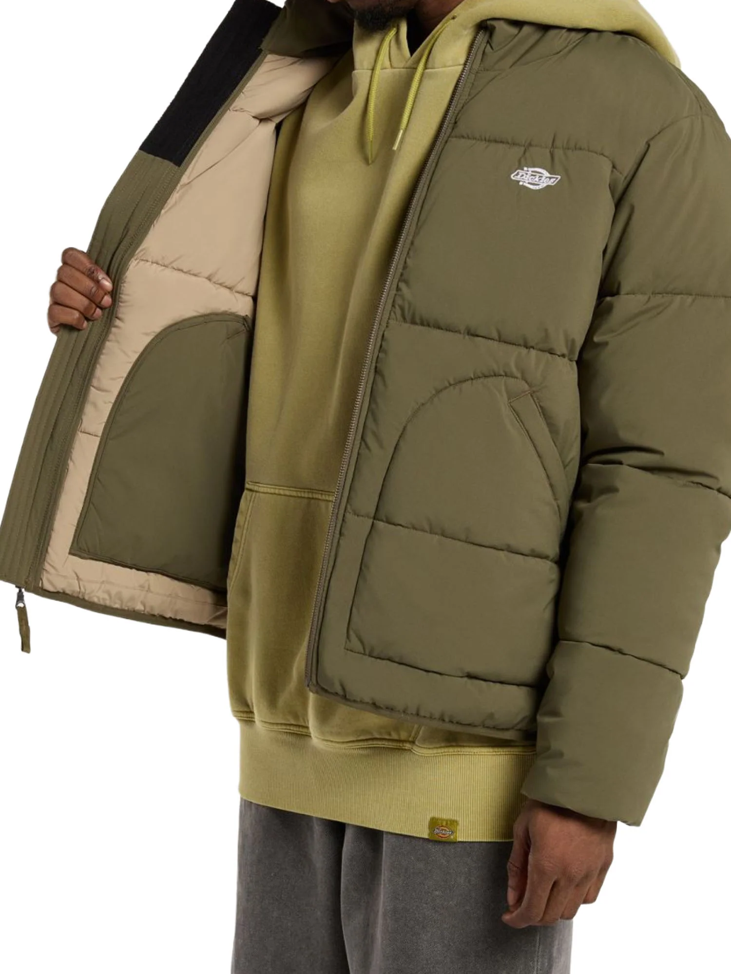 Dickies Piumini Uomo | DK0A87OG - Image 9