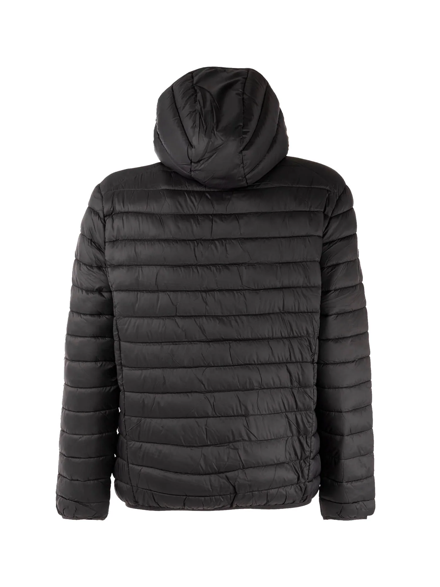 Invicta Piumini Uomo | 4431449USP - Image 6