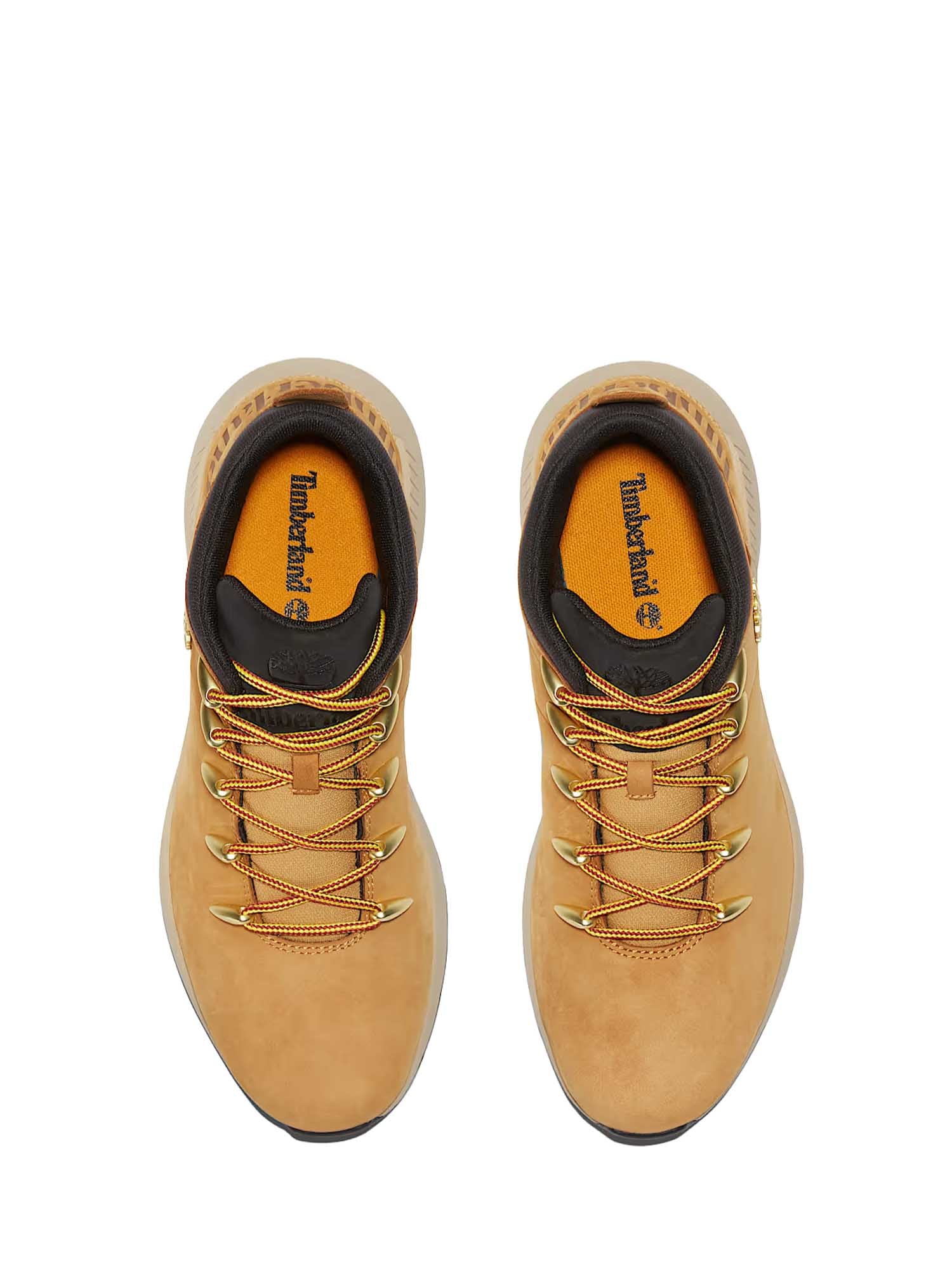 Timberland Sneakers Uomo | TB0A1XVQ - Image 4