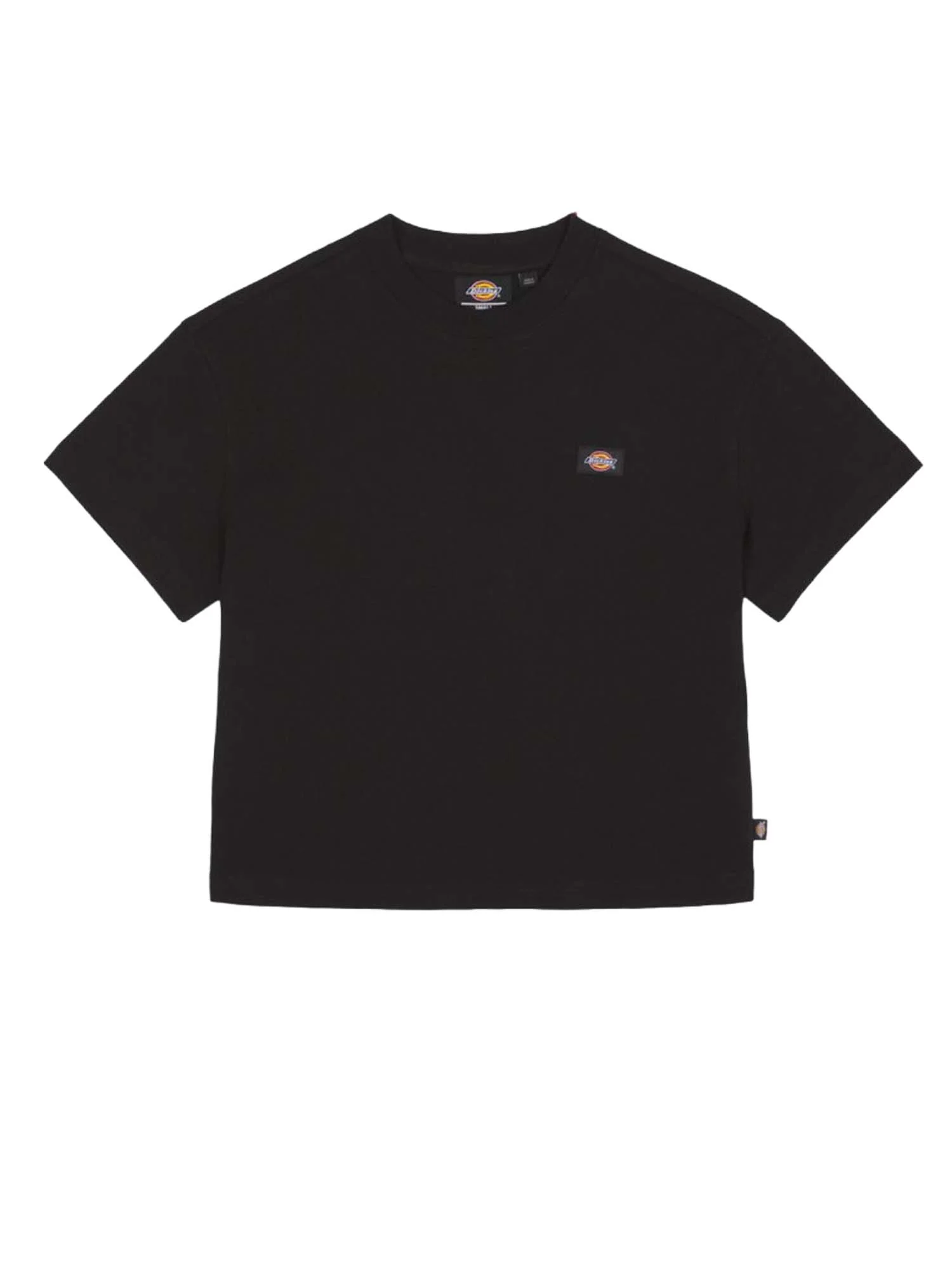Dickies T-shirt Donna | DK0A4Y8L