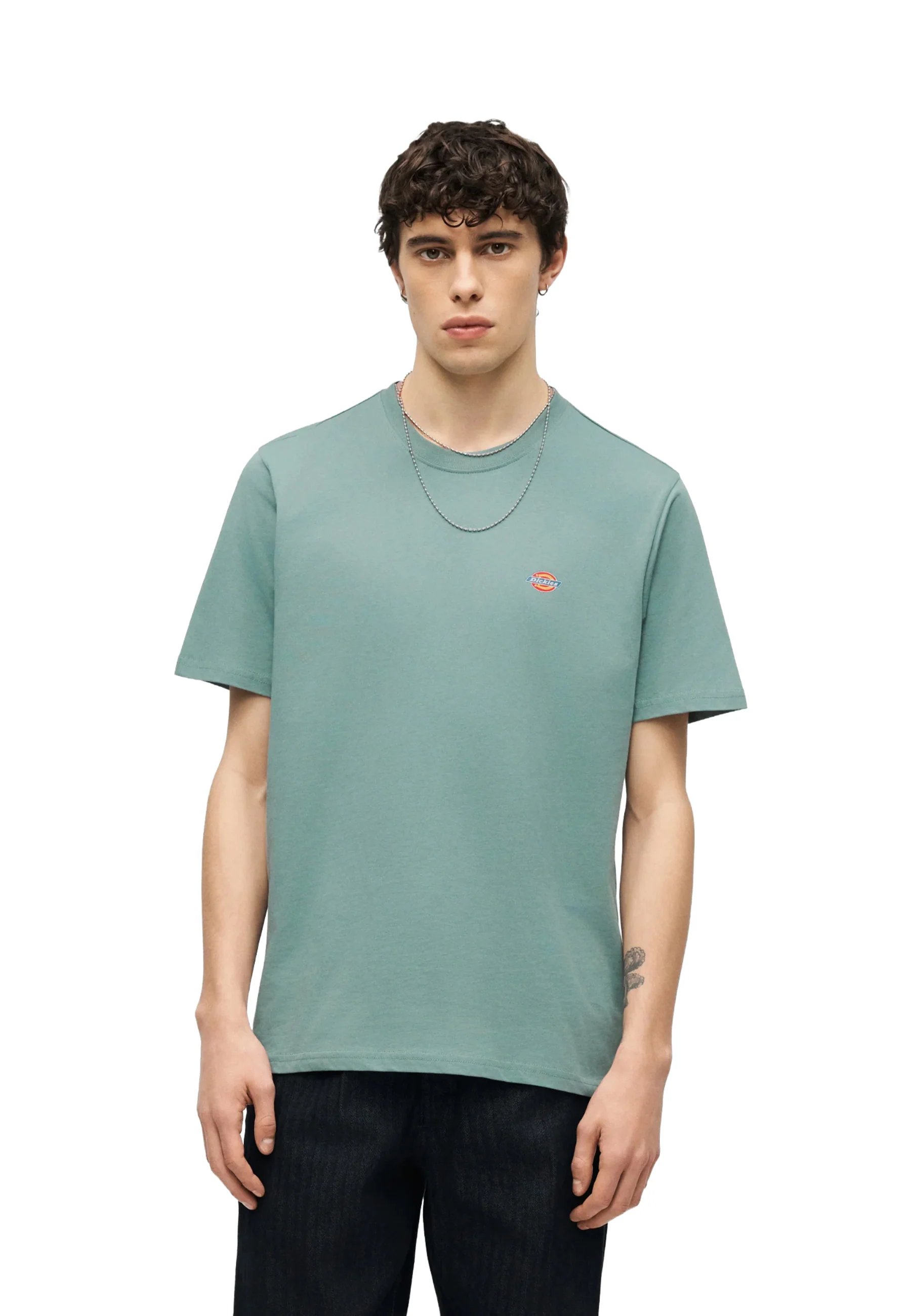 Dickies T-shirt Uomo | DK0A4XDB - Image 14