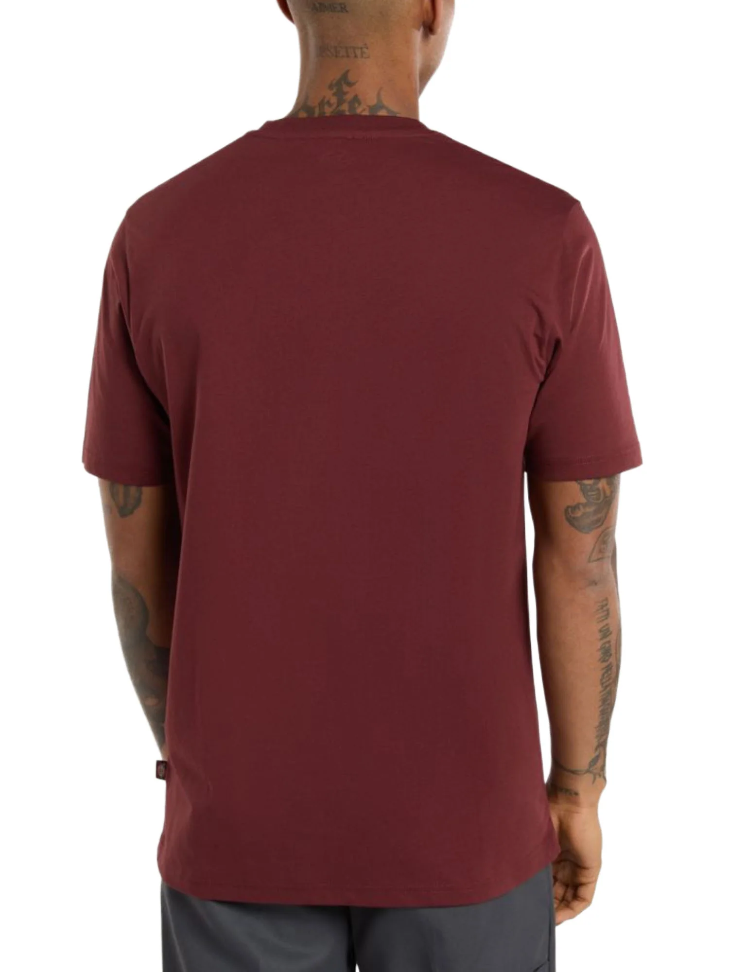 Dickies T-shirt Uomo | DK0A4XDB - Image 3