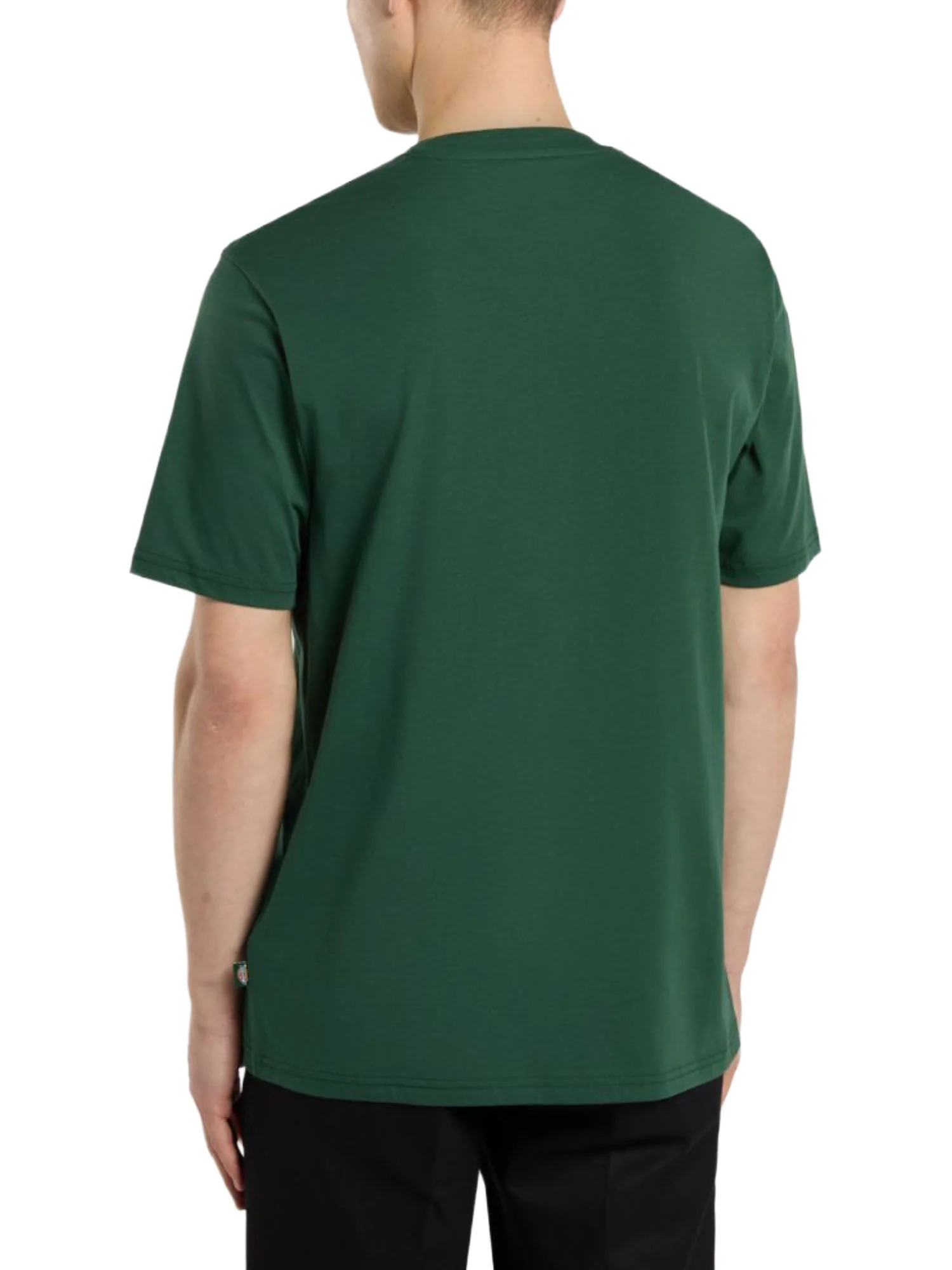 Dickies T-shirt Uomo | DK0A4XDB - Image 7