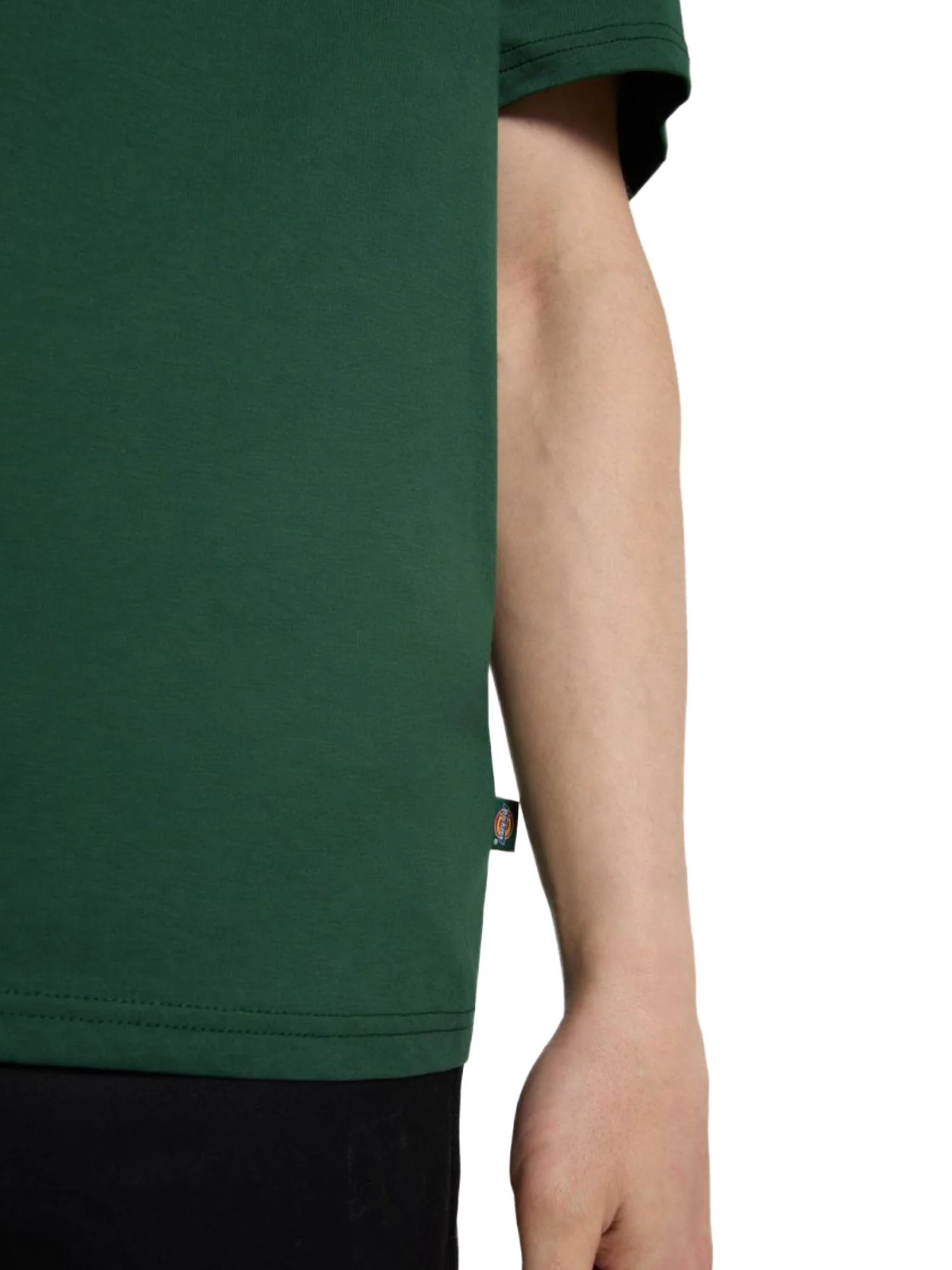 Dickies T-shirt Uomo | DK0A4XDB - Image 8