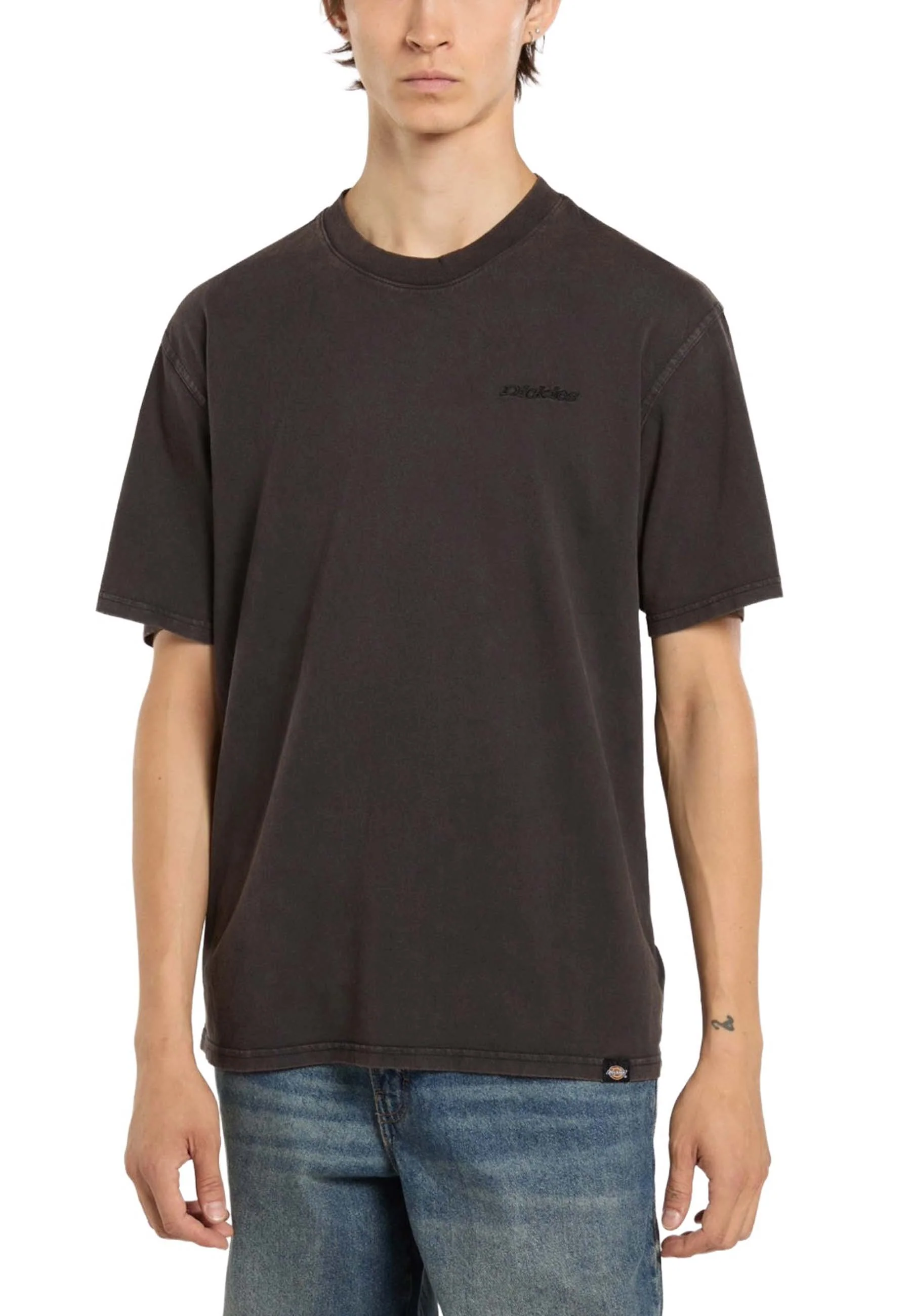 Dickies T-shirt Uomo | DK0A866B - Image 3