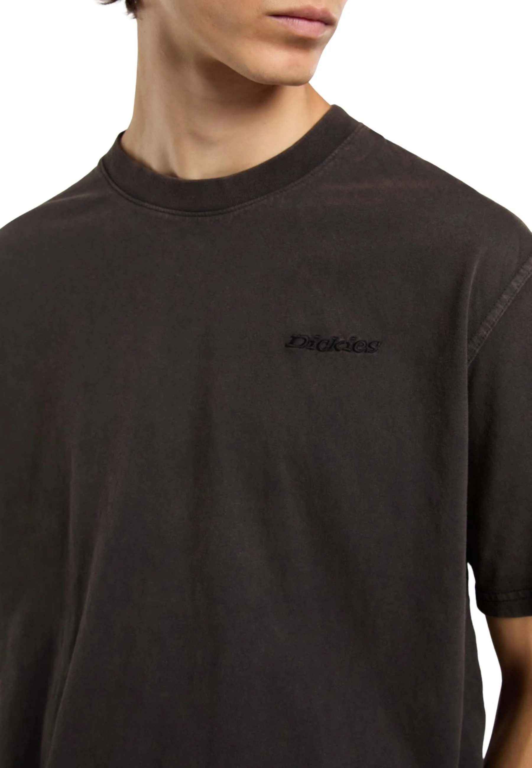 Dickies T-shirt Uomo | DK0A866B - Image 5