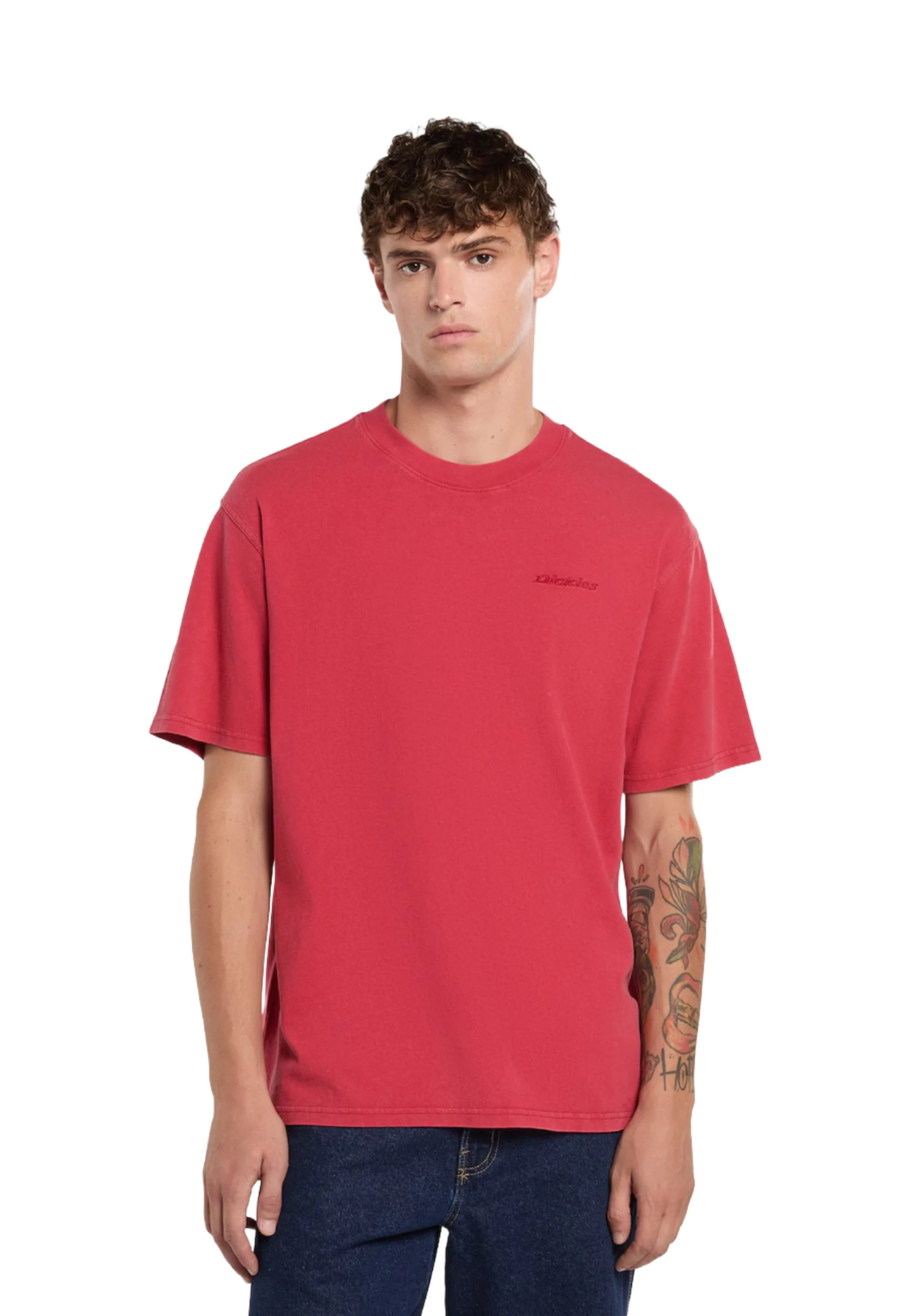 Dickies T-shirt Uomo | DK0A866B - Image 7