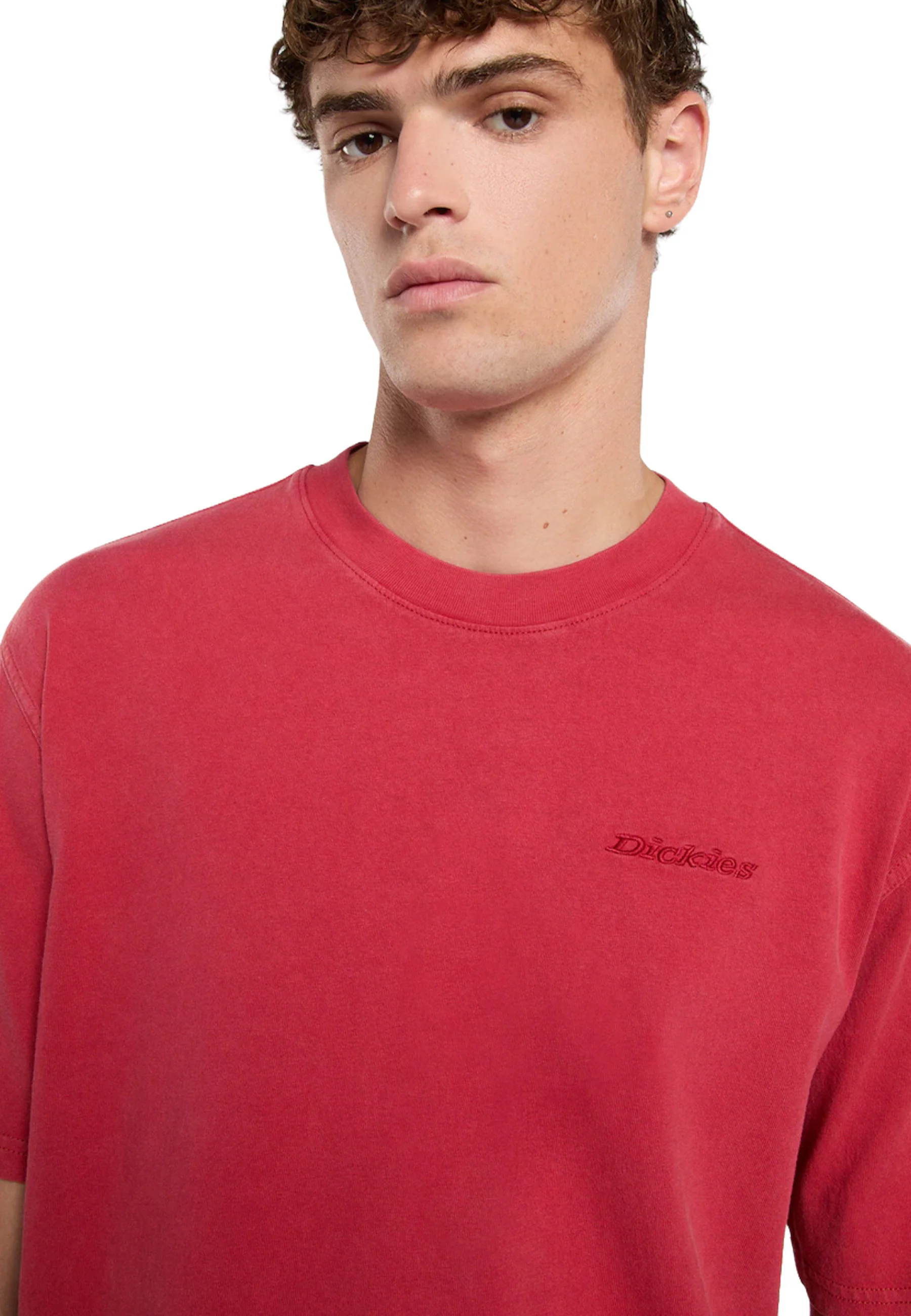 Dickies T-shirt Uomo | DK0A866B - Image 9
