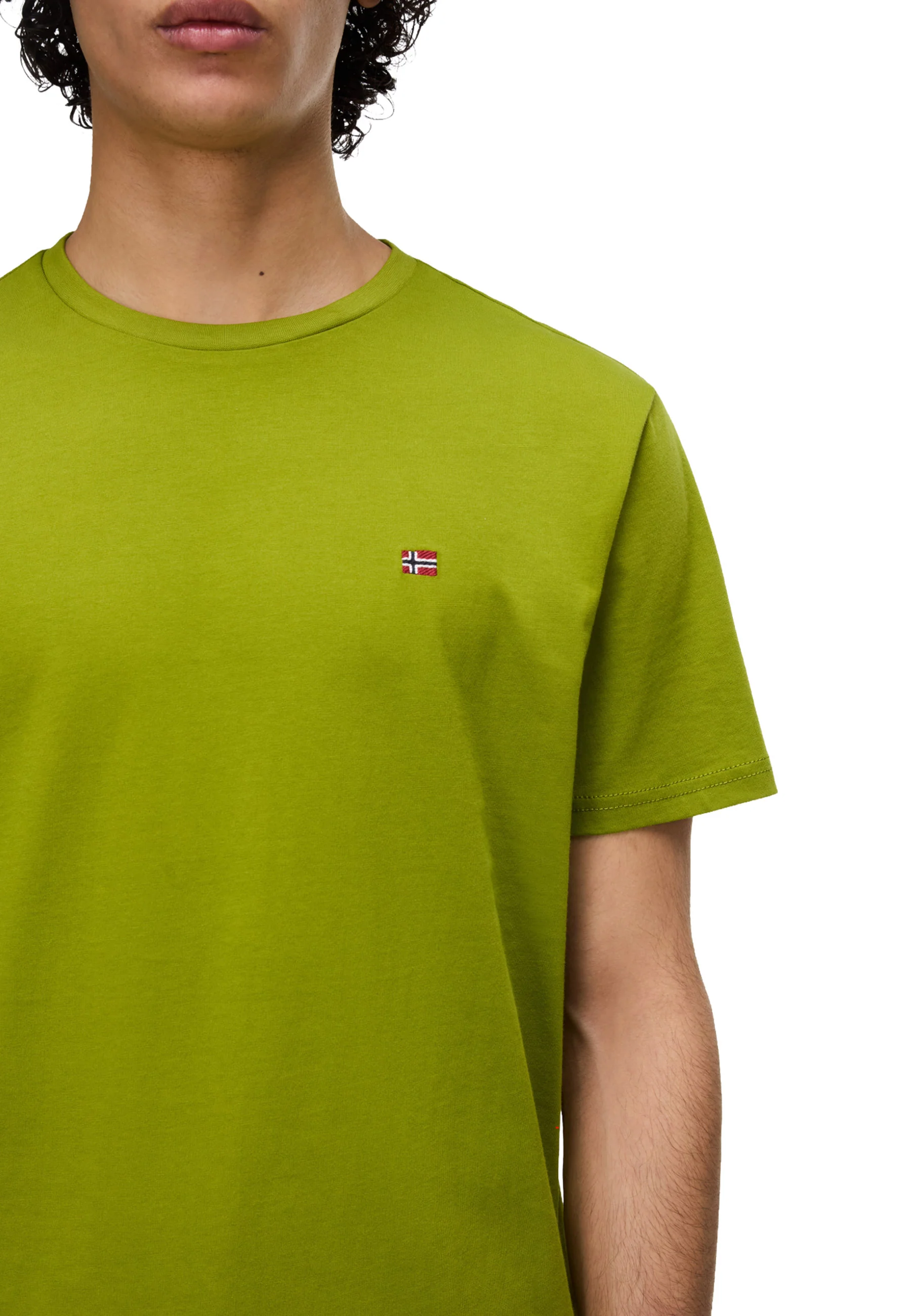 Napapijri Salis Ss Sum T-shirt Uomo | NP0A4H8D - Image 21
