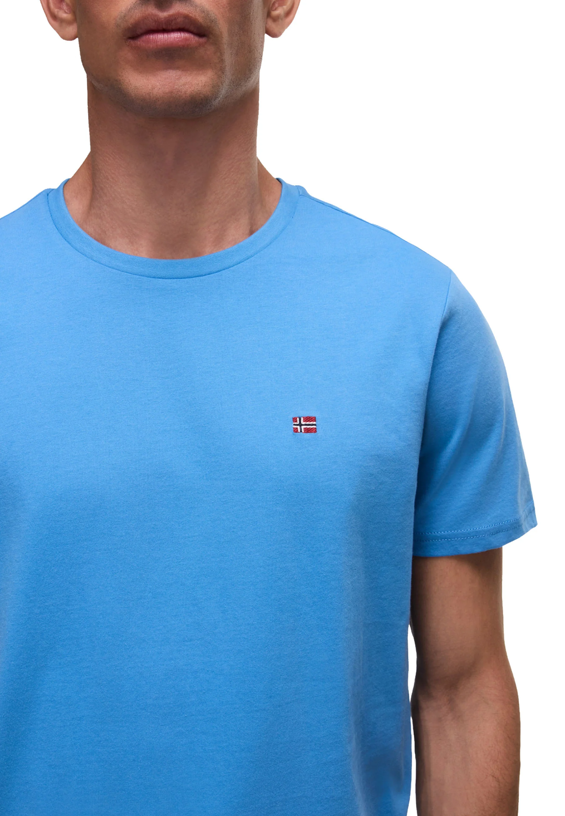 Napapijri Salis Ss Sum T-shirt Uomo | NP0A4H8D - Image 8