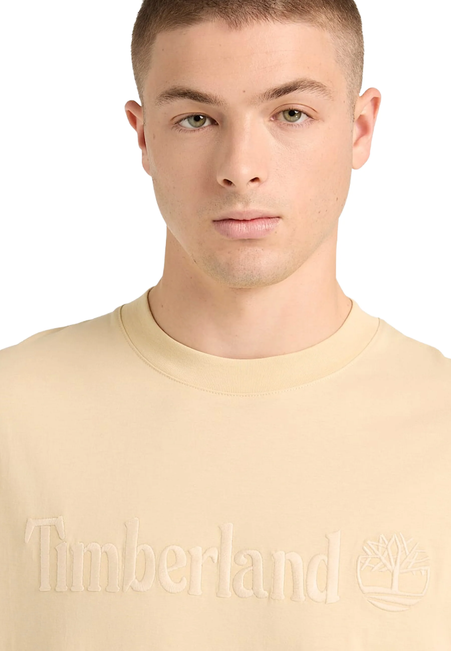 Timberland T-shirt Uomo | TB0A6VPE - Image 22